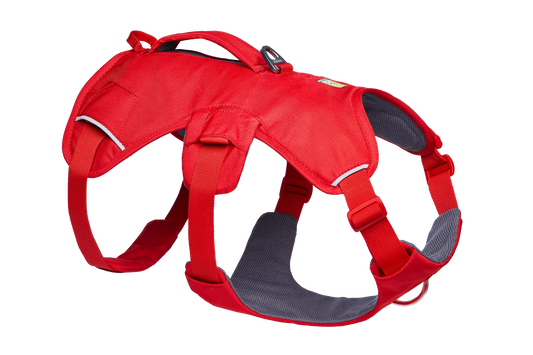 Web Master™ Dog Harness with Handle