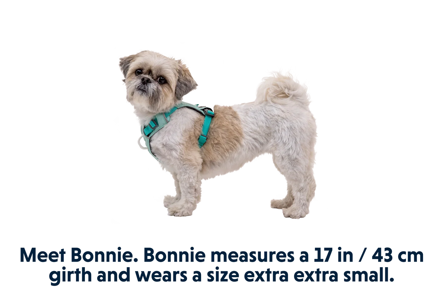 Hi & Light™ Lightweight Dog Harness