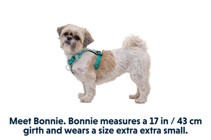 Hi & Light™ Lightweight Dog Harness