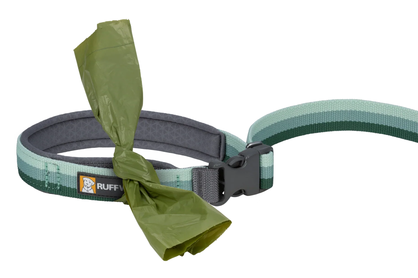 Roamer™ Bungee Dog Leash