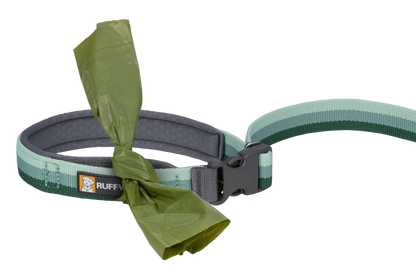 Roamer™ Bungee Dog Leash