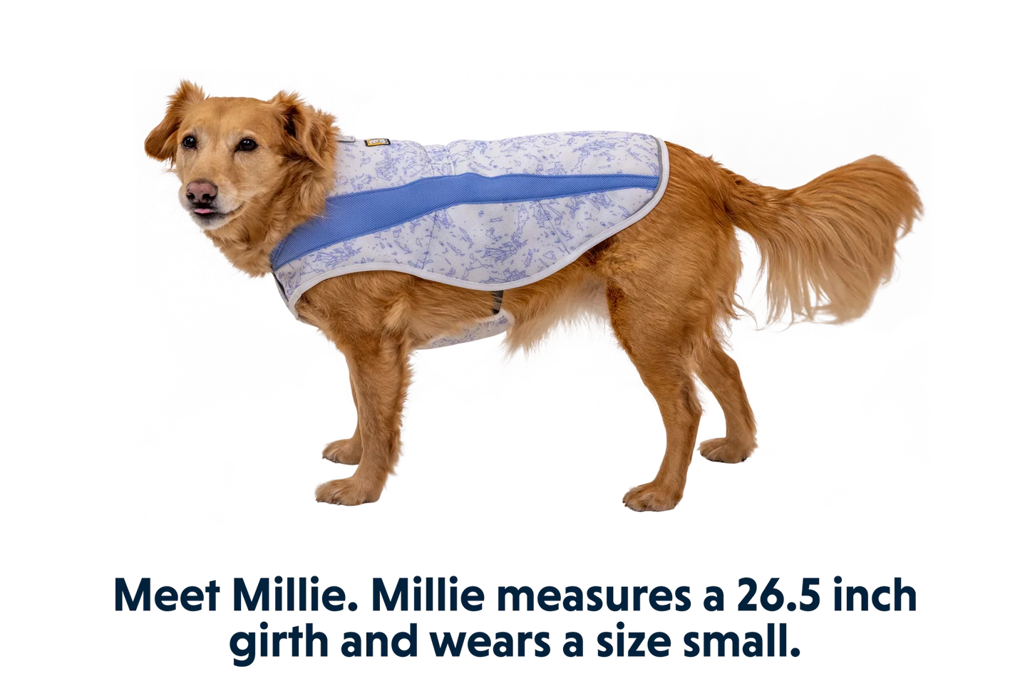 Swamp Cooler™ Cooling Dog Vest