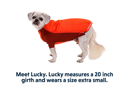 Powder Hound™ Dog Jacket