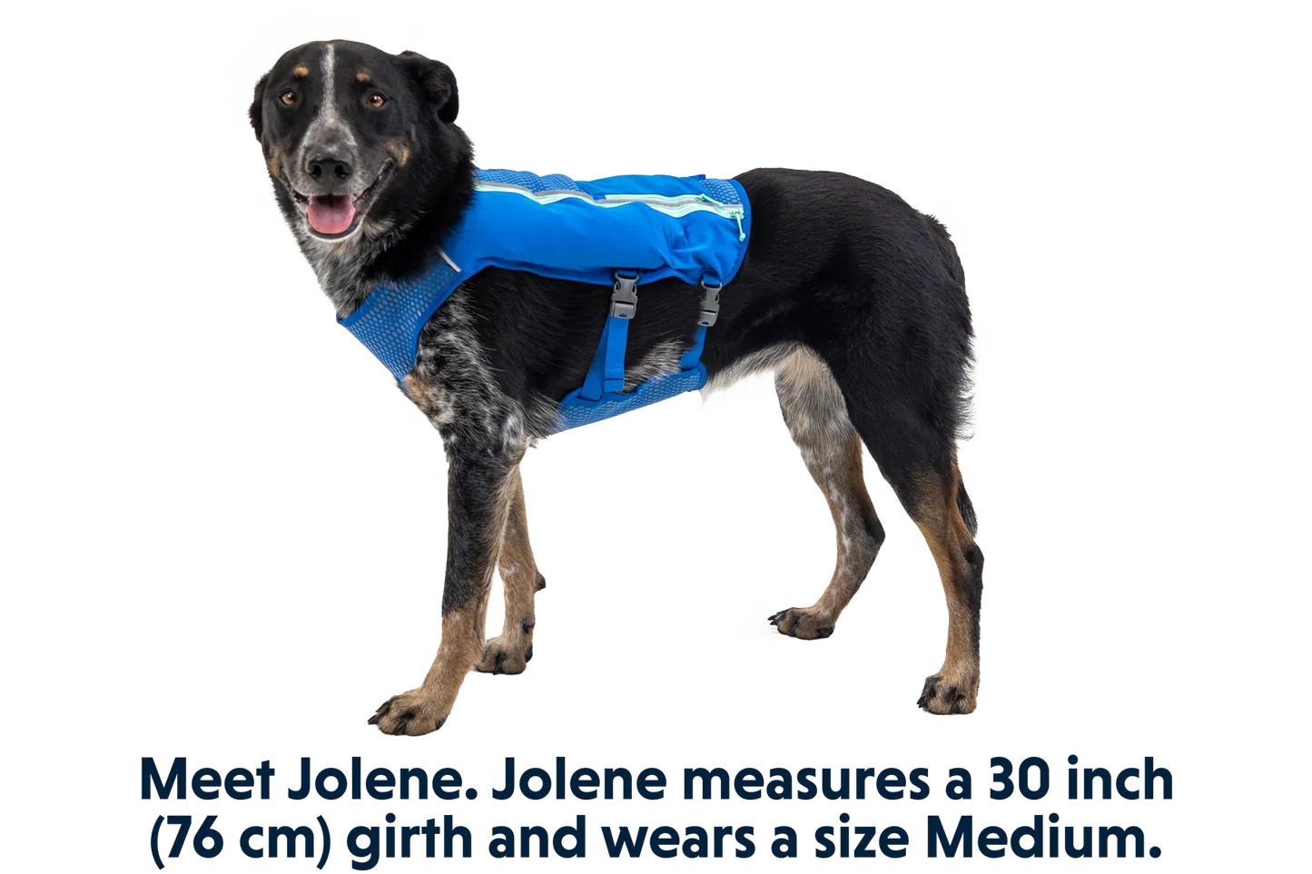 Trail Runner™ Dog Running Vest