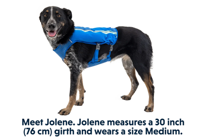 Trail Runner™ Dog Running Vest