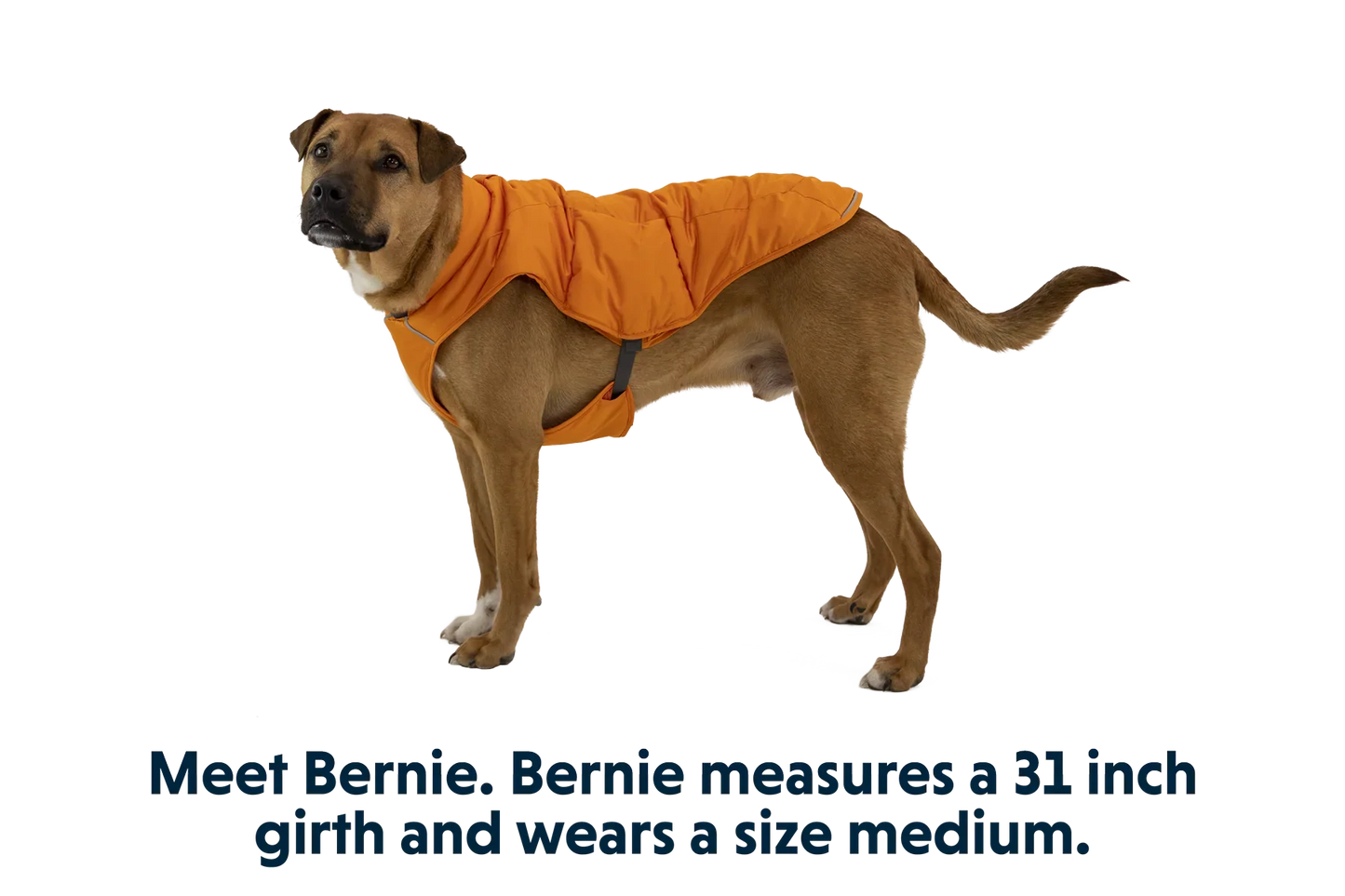 Quinzee™ Insulated Vest