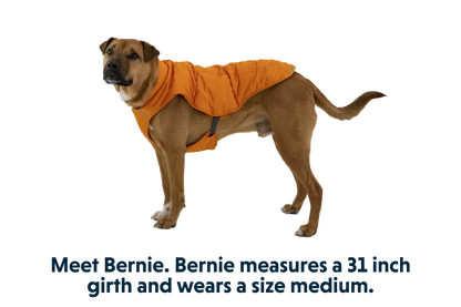 Quinzee™ Insulated Vest