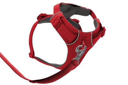 Front Range® Harness