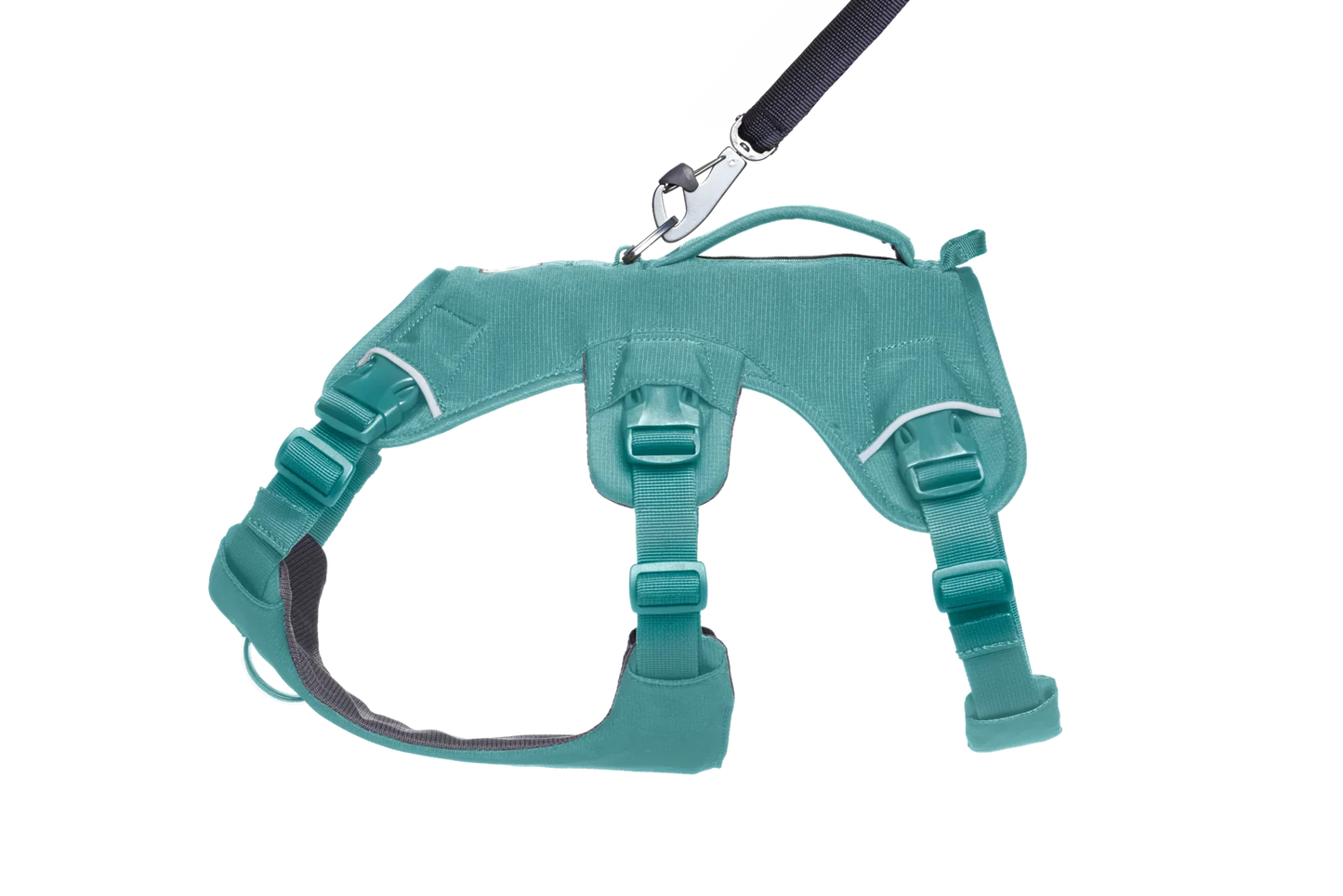 Web Master™ Dog Harness with Handle