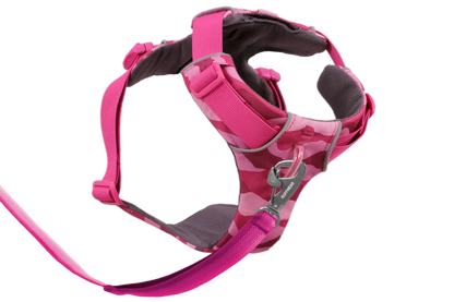 Front Range® Harness