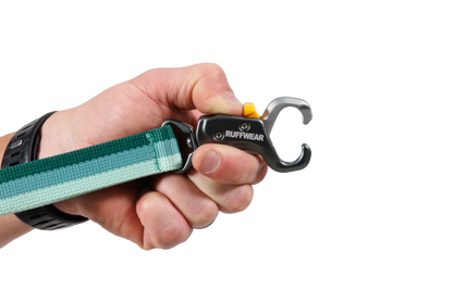 Roamer Lock™  Bungee Dog Leash
