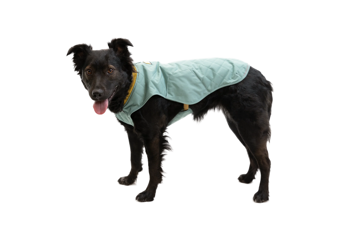 Stumptown™ Insulated Vest