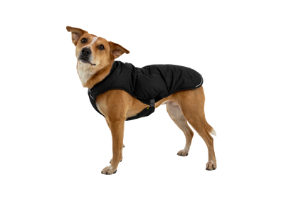 Quinzee™ Insulated Vest
