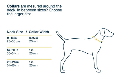 Ridgeline™ Collar
