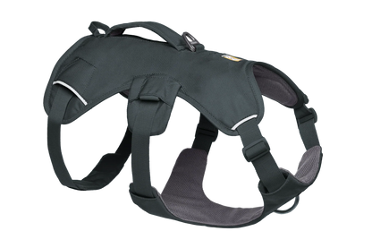 Web Master™ Dog Harness with Handle