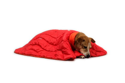 Palisades™ Sleep Poncho