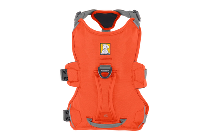 Web Master™ Dog Harness with Handle