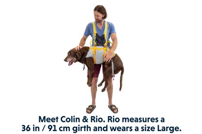 BackTrak™ Dog Evacuation Kit