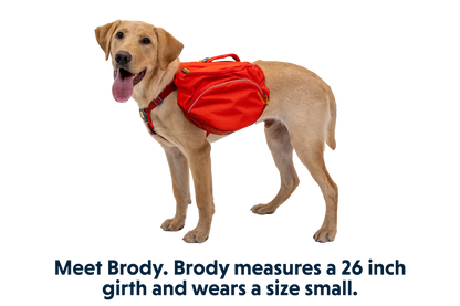 Palisades™ Dog Backpack