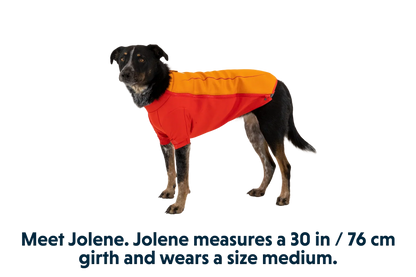 Undercoat™ Dog Water Jacket