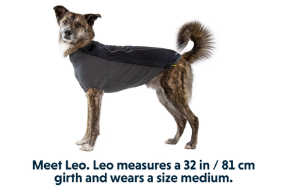 Cloud Chaser™ Dog Jacket
