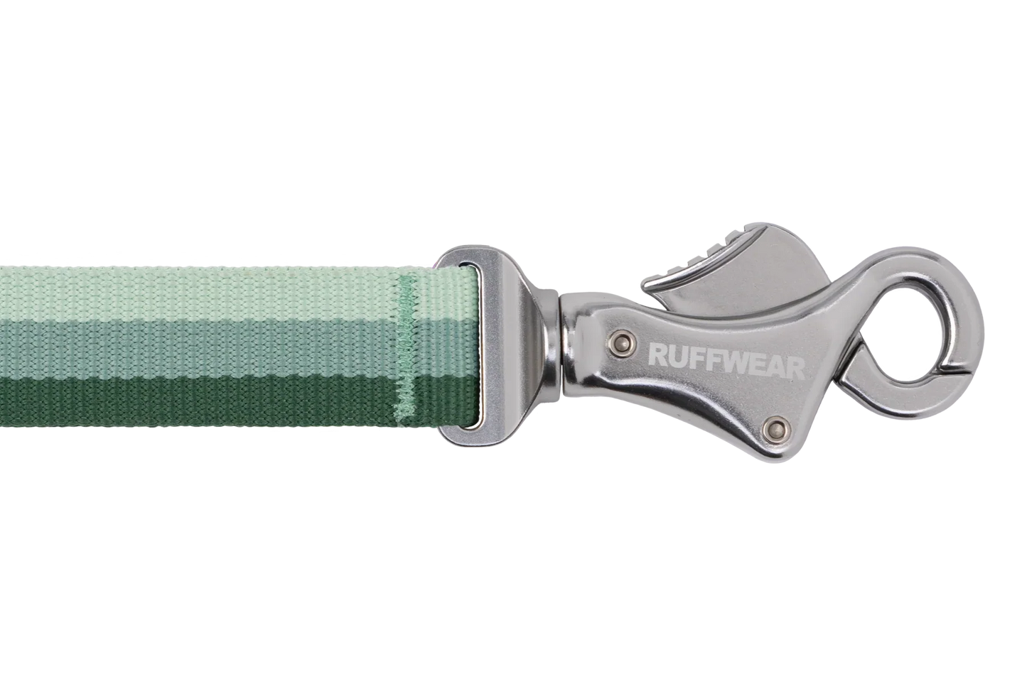 Roamer™ Bungee Dog Leash