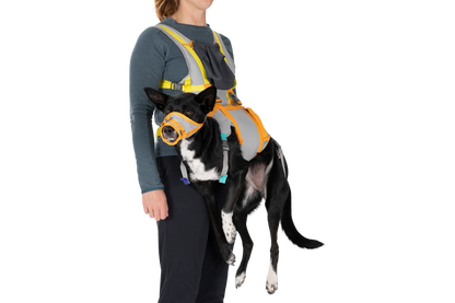 BackTrak™ Dog Evacuation Kit