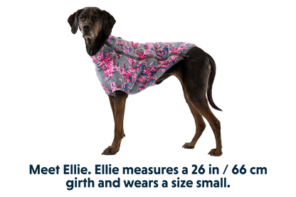Climate Changer™ Dog Fleece