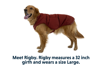 Quinzee™ Insulated Vest