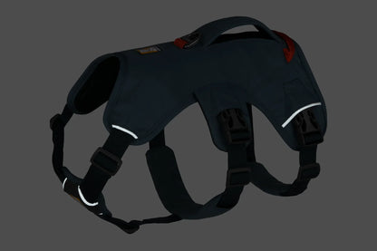 Web Master™ Dog Harness with Handle