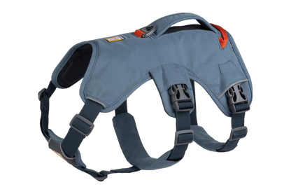Web Master™ Dog Harness with Handle