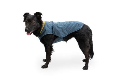Stumptown™ Insulated Vest