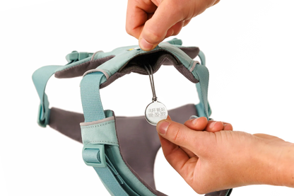 Front Range® Harness