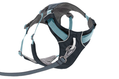 Flagline™ Dog Harness with Handle