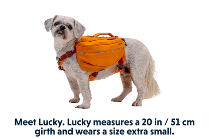 Approach™ Dog Backpack