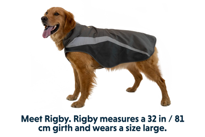 Lumenglow™ High-Vis Vest