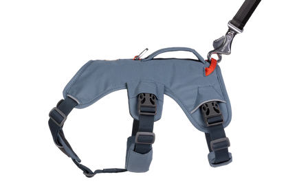 Web Master™ Dog Harness with Handle