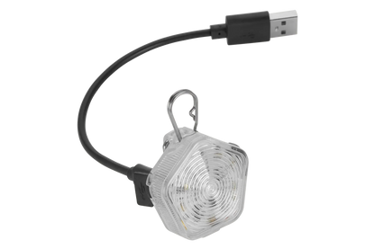 The Beacon™ Dog Safety Light