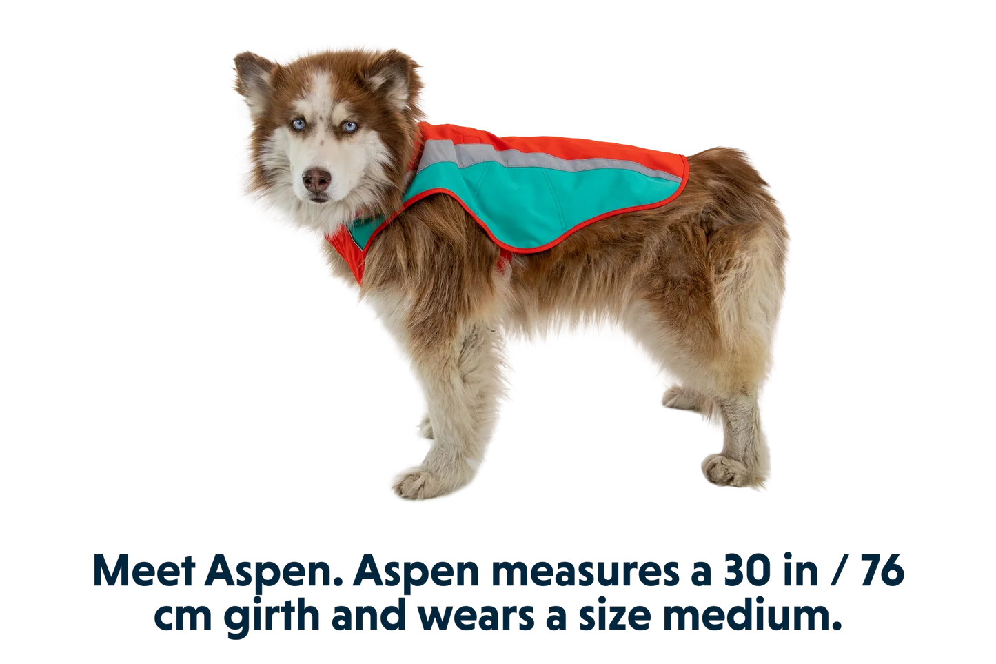 Lumenglow™ High-Vis Vest
