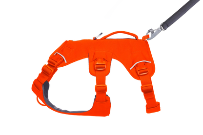 Web Master™ Dog Harness with Handle