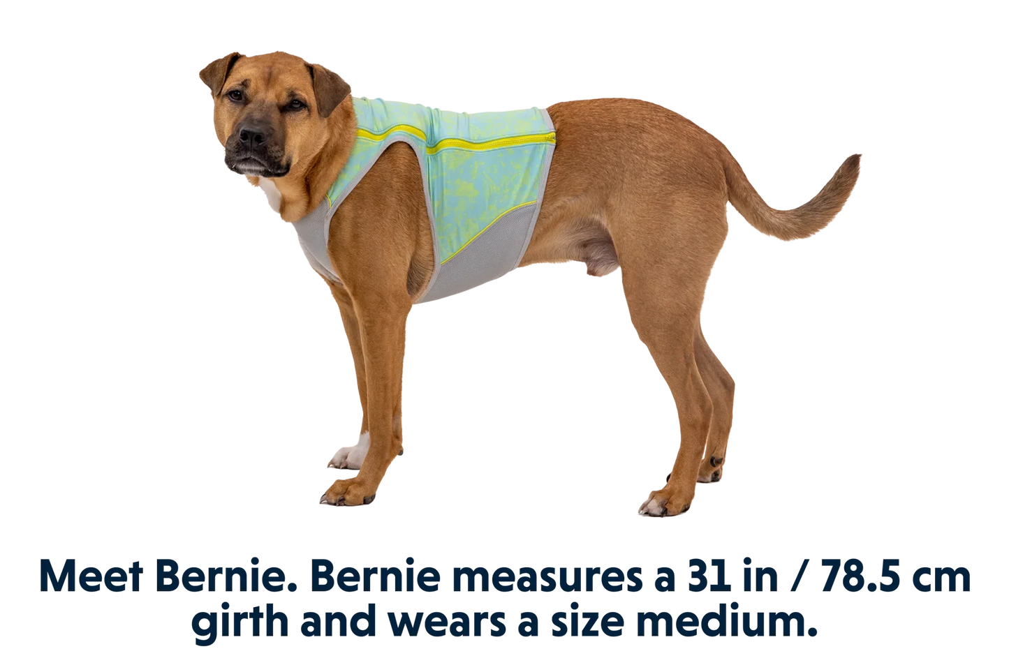 Swamp Cooler Zip™ Cooling Dog Vest