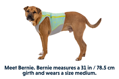 Swamp Cooler Zip™ Cooling Dog Vest
