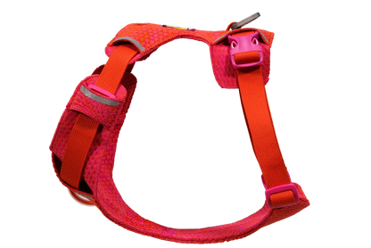 Front Range® Flex Harness