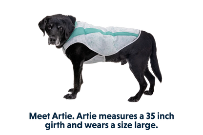 Swamp Cooler™ Cooling Dog Vest