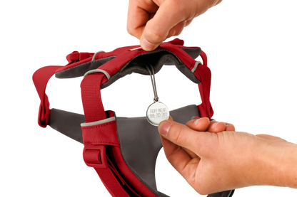 Front Range® Harness