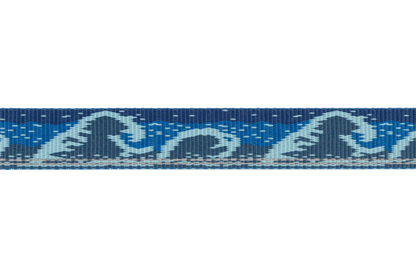Crag™ Leash