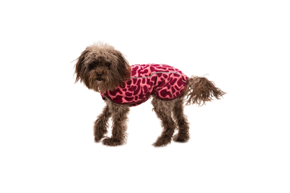 Climate Changer™ Fleece Vest