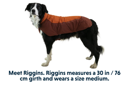 Vert™ Waterproof Insulated Vest