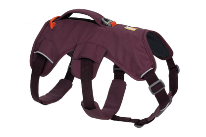 Web Master™ Dog Harness with Handle