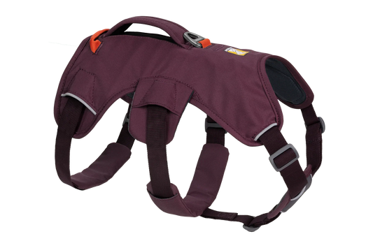Web Master™ Dog Harness with Handle